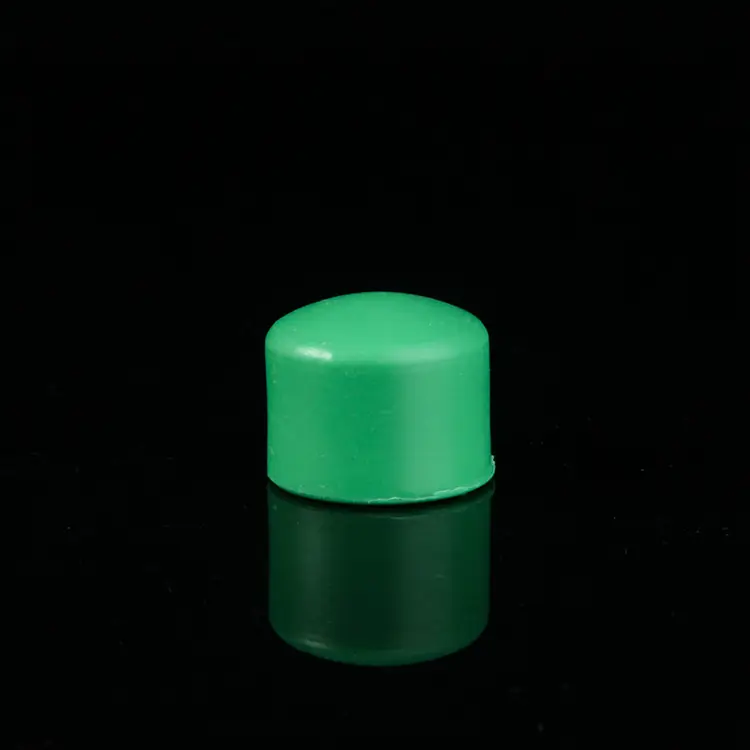 PPR END CAP